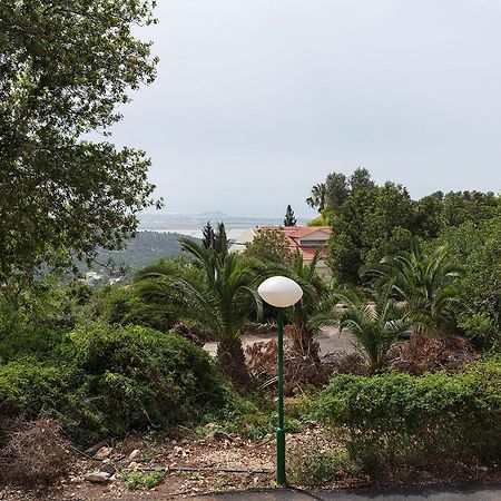 Nir Etzion Resort Ein Hod Ngoại thất bức ảnh